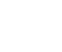 Primordial
